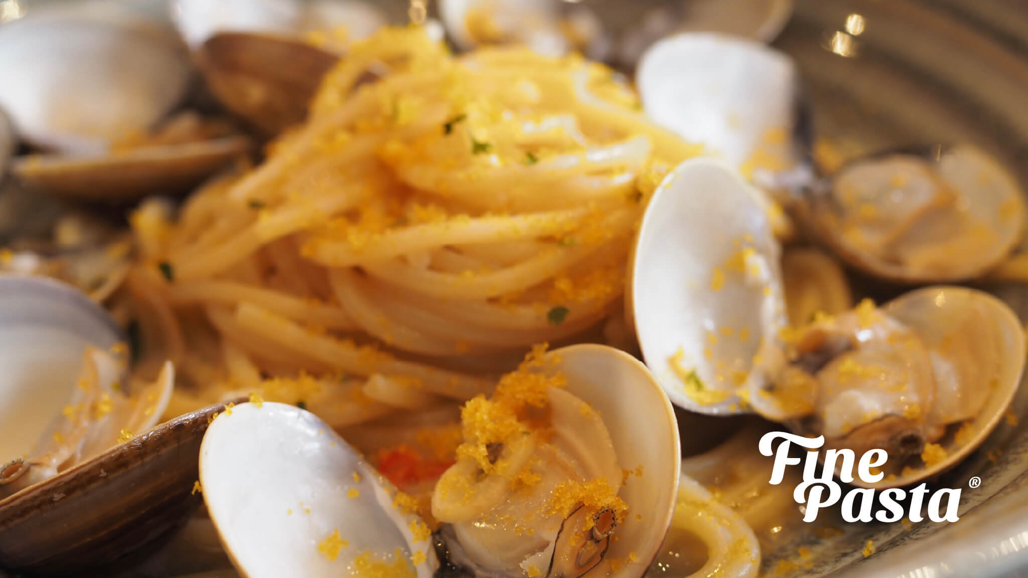Fine Pasta 3