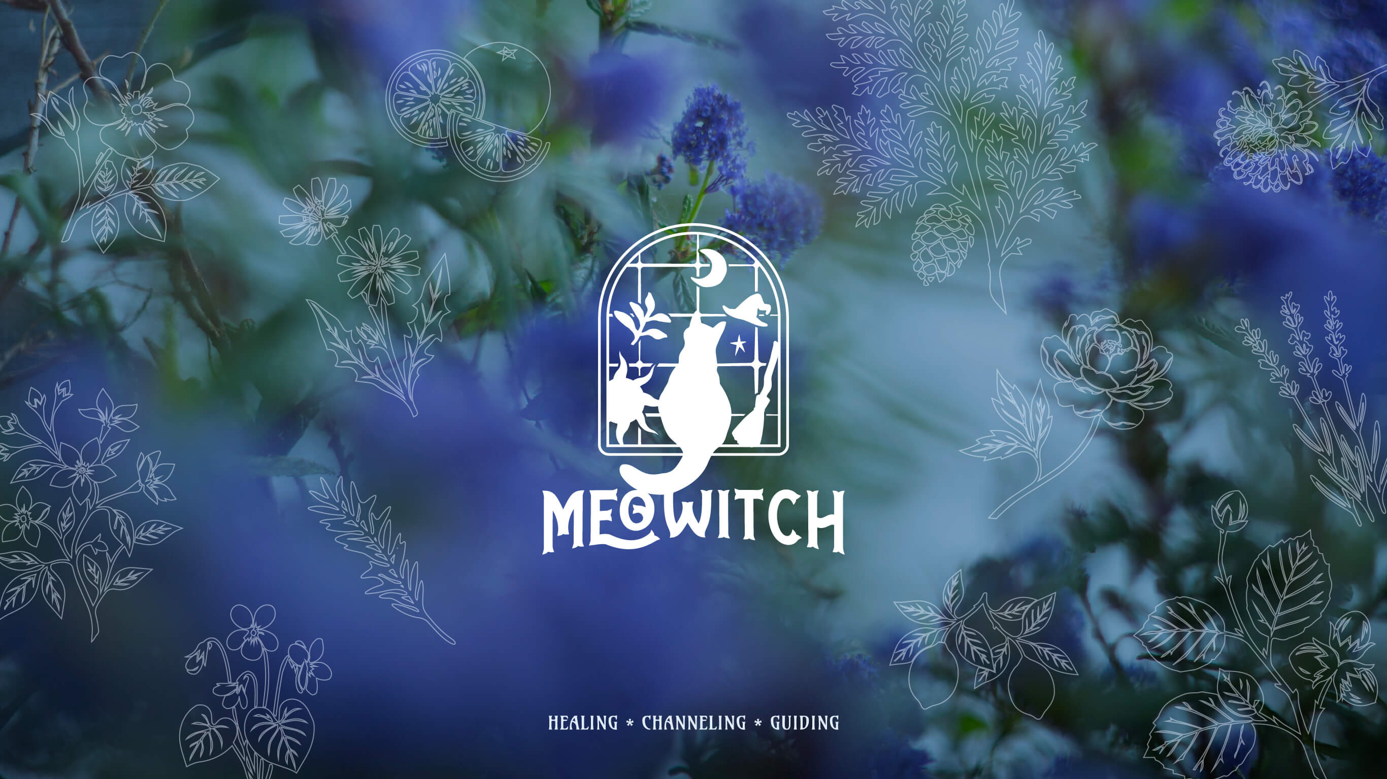 Meowitch 11